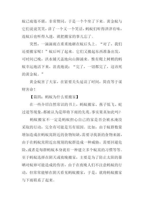 蚂蚁搬家作文.docx