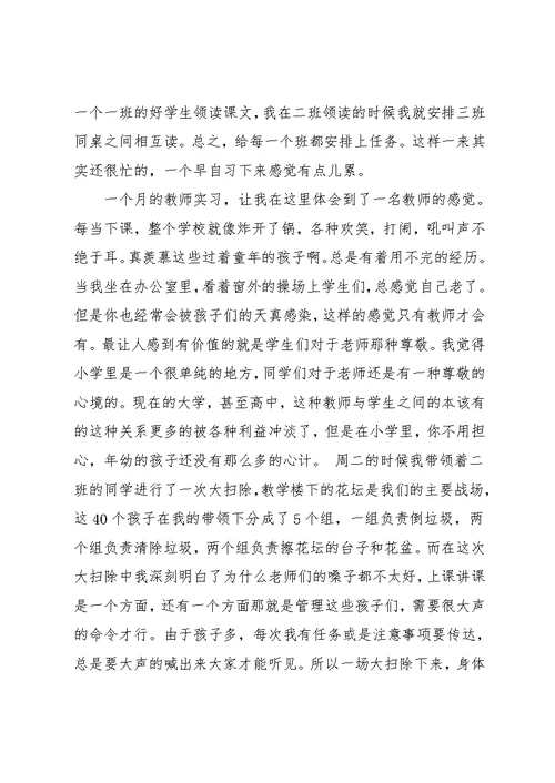 大学生小学实习总结范文(共28页)