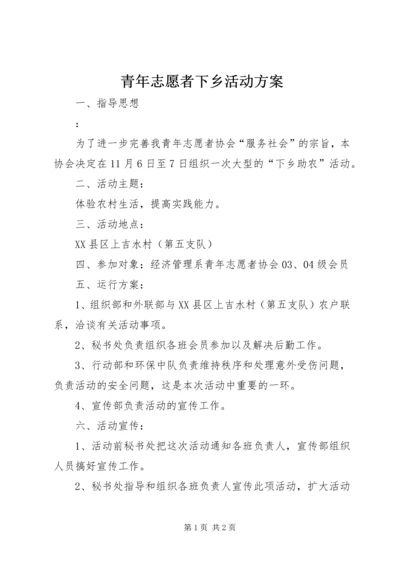 青年志愿者下乡活动方案.docx