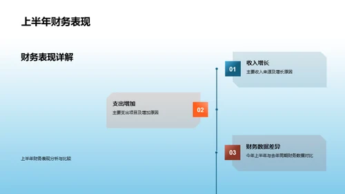 半年度财务分析