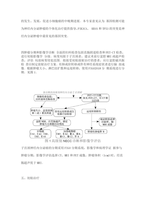 2022子宫颈神经内分泌癌诊断与治疗专家指导意见.docx