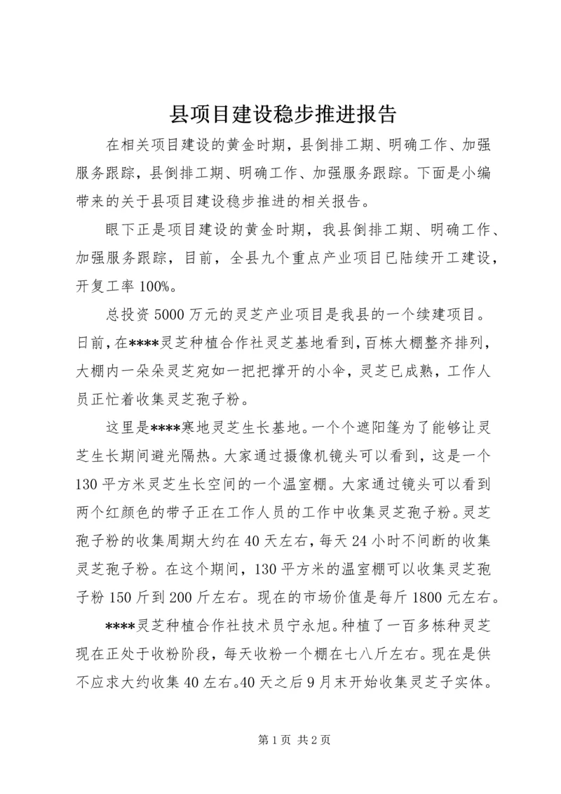 县项目建设稳步推进报告.docx