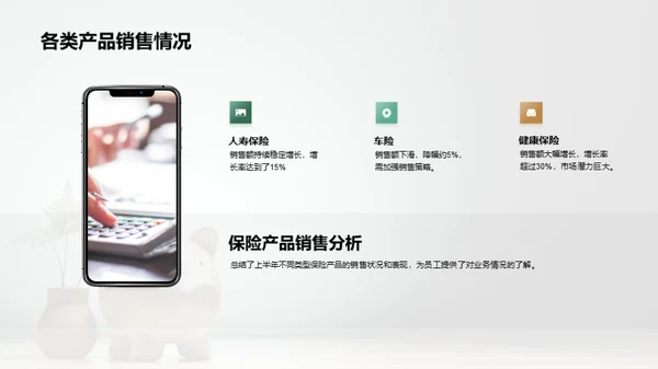 半年业务回顾与展望