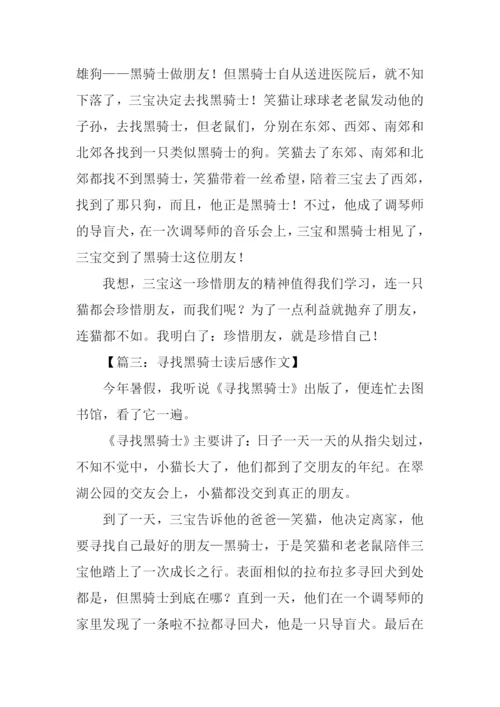 寻找黑骑士读后感300字.docx