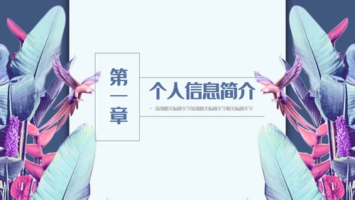 羽毛艺术个人简历通用PPT模板