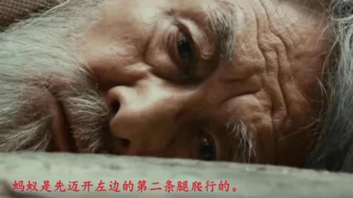 11 蟋蟀的住宅（课件）