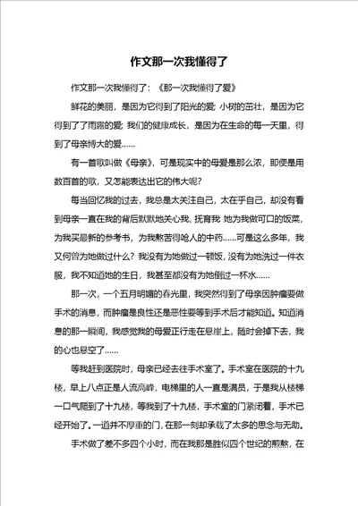 作文那一次我懂得了