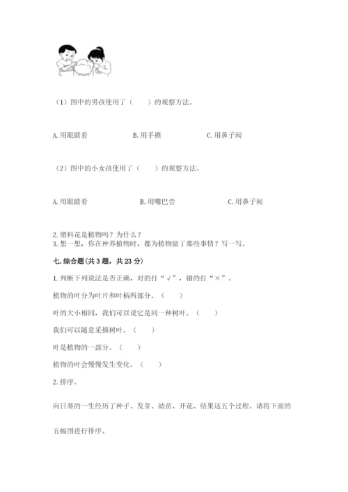 教科版科学一年级上册第一单元《植物》测试卷带答案（突破训练）.docx