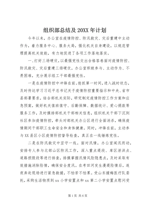 组织部总结及20XX年计划.docx