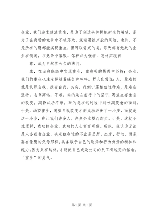 罗小宁鹰的蜕变与重生观后感.docx