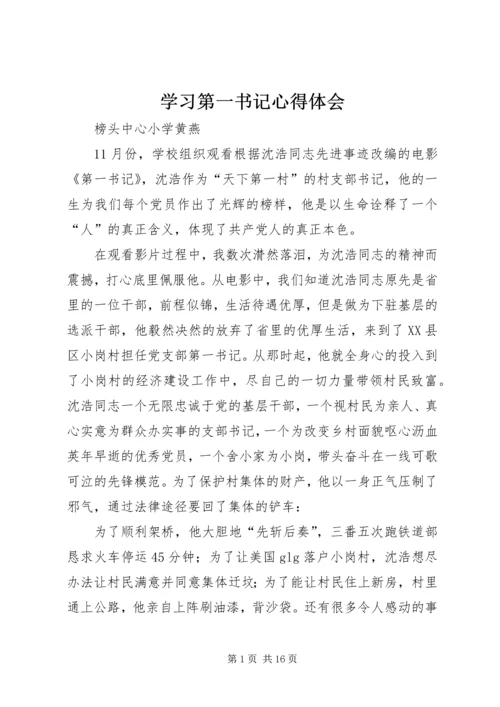 学习第一书记心得体会 (4).docx