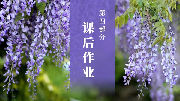 实拍风紫藤萝瀑布七年级语文课件PPT模板