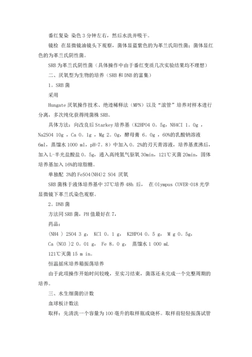 化学专业的实习报告锦集8篇.docx