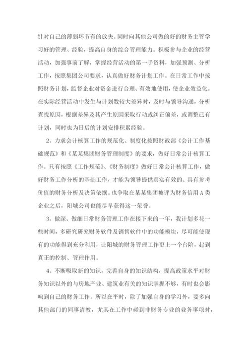 财务会计个人工作计划.docx