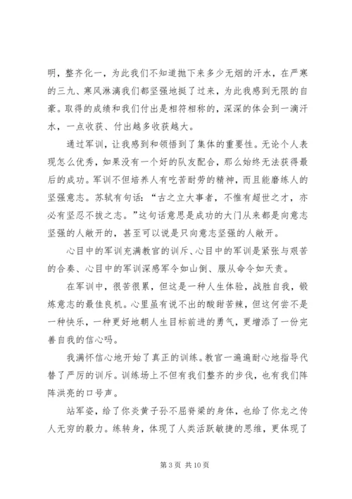 城管执法心得及感想多篇.docx