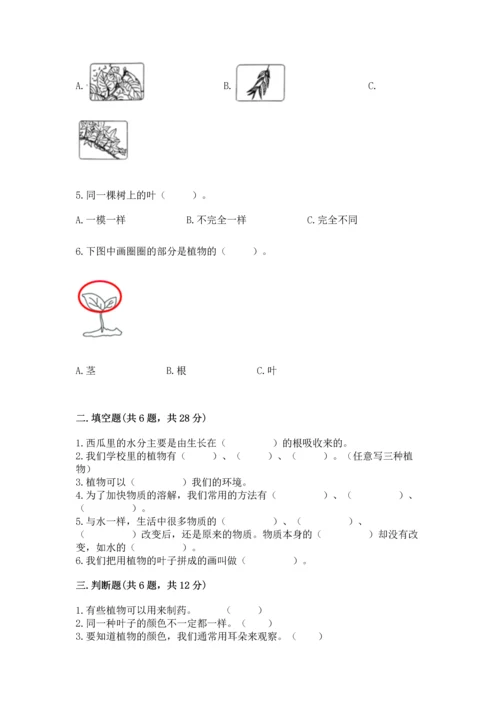 教科版科学一年级上册第一单元《植物》测试卷附答案【完整版】.docx
