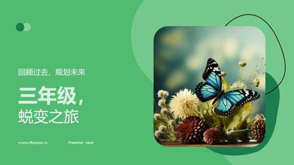 三年级，蜕变之旅