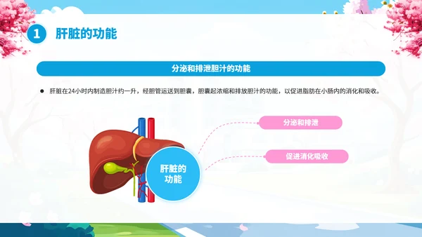 全国爱肝日肝病知识宣传PPT模板