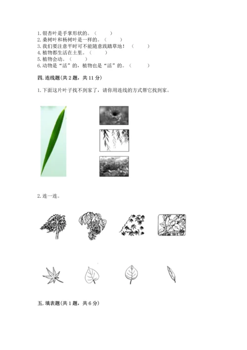 教科版科学一年级上册第一单元《植物》测试卷（典型题）.docx