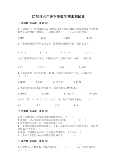 辽阳县六年级下册数学期末测试卷word版.docx