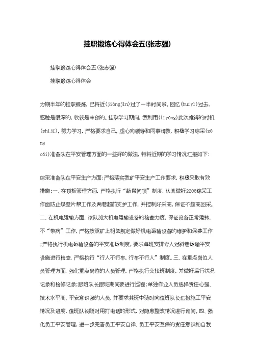 挂职锻炼心得体会五(张志强)