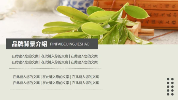 茶业店春茶产品介绍宣传手册通用PPT模板