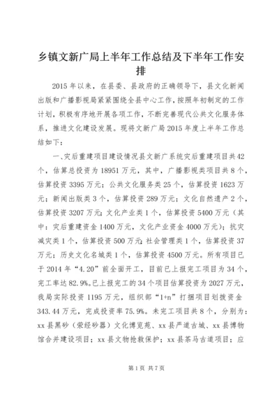 乡镇文新广局上半年工作总结及下半年工作安排.docx