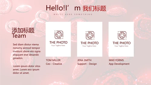 红细胞血小板动态PPT