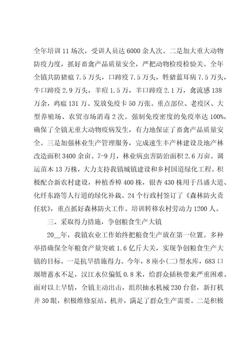 乡镇农业工作总结格式模板（3篇）