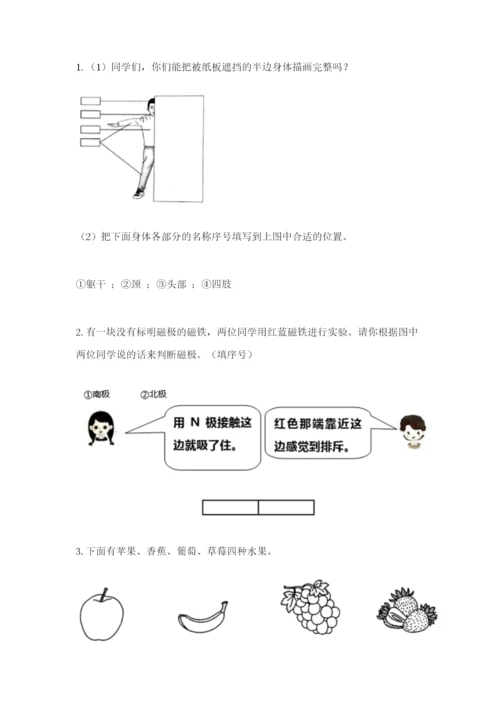 教科版小学科学二年级下册期末测试卷附答案【轻巧夺冠】.docx