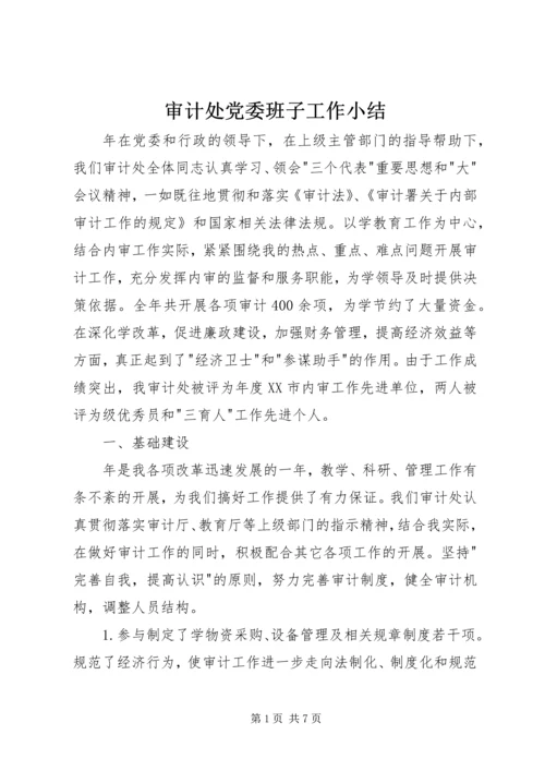 审计处党委班子工作小结.docx