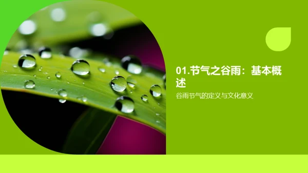 谷雨节气与气候系统