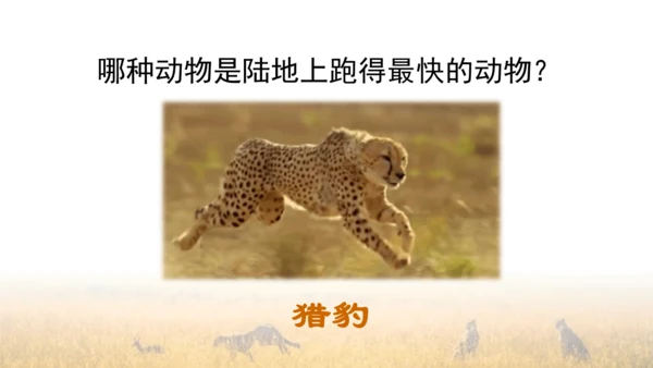 7 什么比猎豹的速度更快 第一课时 课件