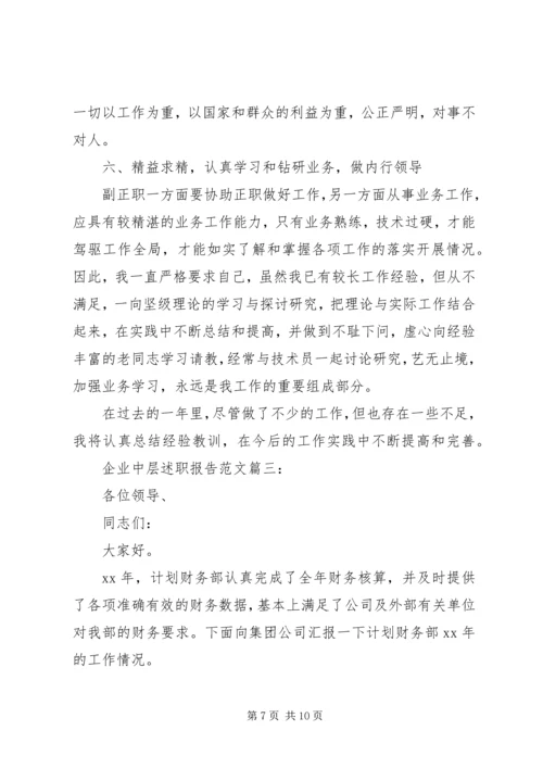 企业中层述职报告精选精编.docx