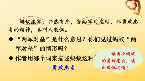 22 读不完的大书  课件