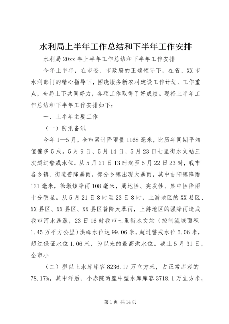 水利局上半年工作总结和下半年工作安排精编.docx