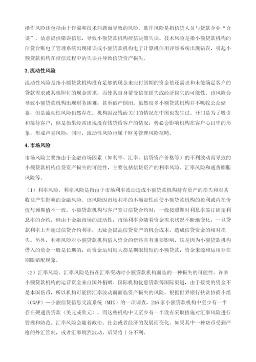 小额贷款机构的信贷风险管理-内部控制和欺诈防范.docx
