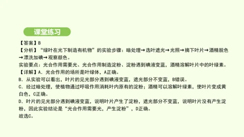 第三单元-第二章-第二节-光合作用-第1课时 绿叶在光下制造有机物课件-2024-2025学年七年级