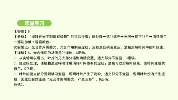 第三单元-第二章-第二节-光合作用-第1课时 绿叶在光下制造有机物课件-2024-2025学年七年级