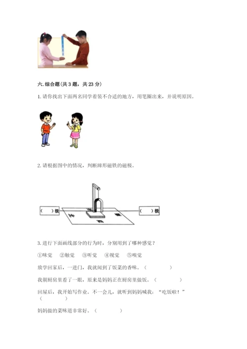 教科版二年级下册科学期末测试卷及完整答案【历年真题】.docx