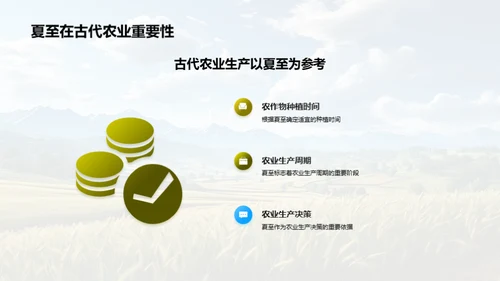 夏至影响下的农业