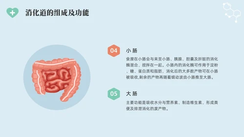 彩色水彩简约插画肠内营养的护理企业培训PPT全民营养周