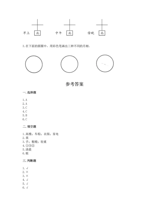 教科版科学二年级上册《期末测试卷》（综合卷）.docx