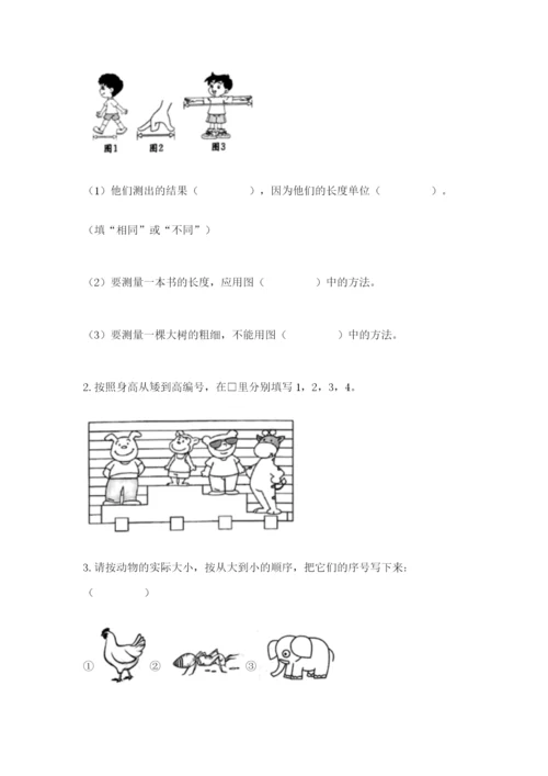 教科版一年级上册科学期末测试卷精品【夺冠】.docx