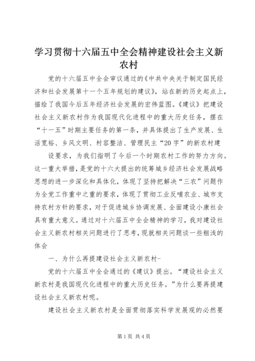 学习贯彻十六届五中全会精神建设社会主义新农村 (3).docx