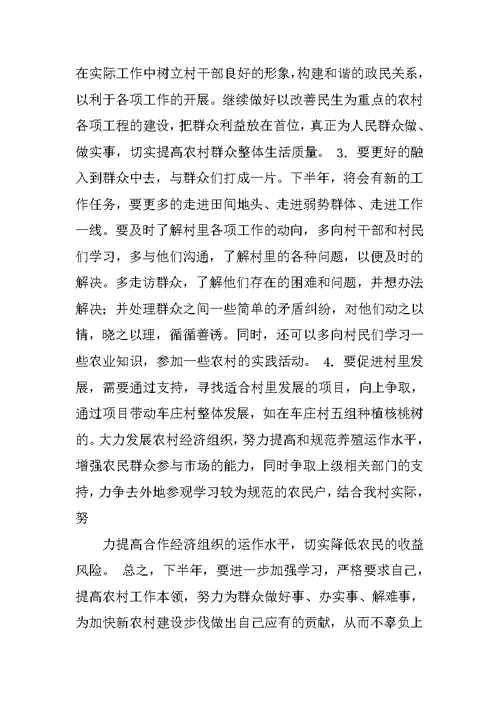 村主任上半年工作总结