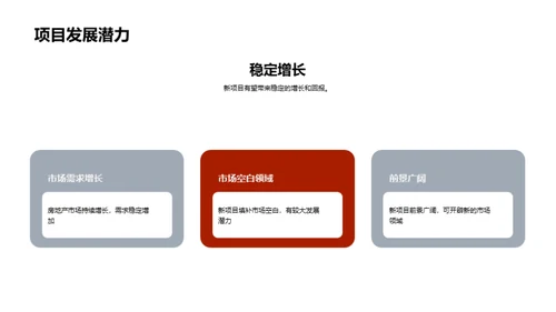 新项目投资展望