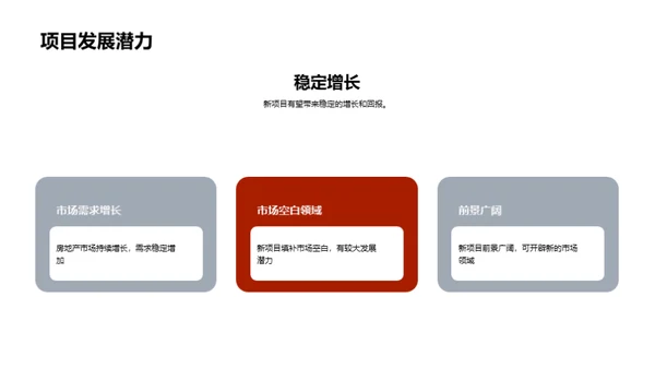 新项目投资展望