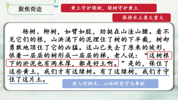 第20课《青山不老》（课件）