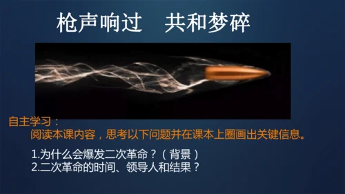 第11课 北洋政府的统治与军阀割据 课件